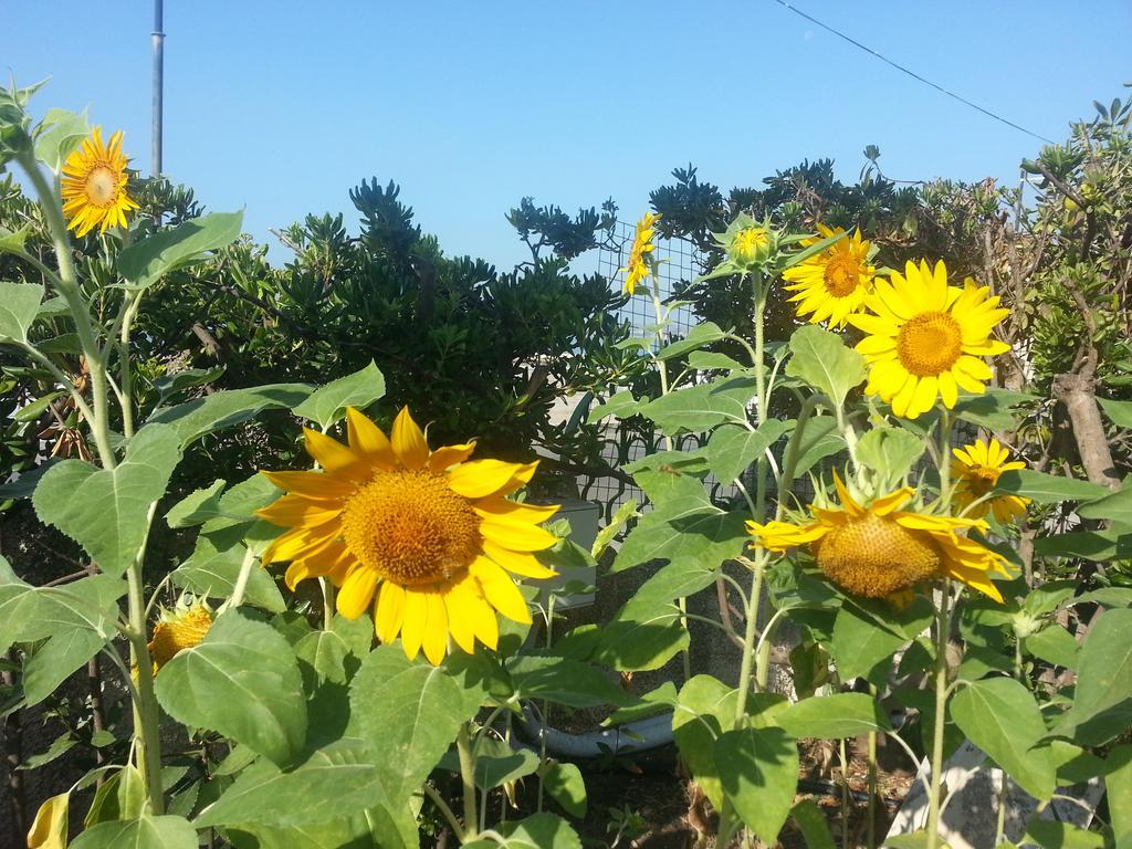 Il Girasole Formia Guesthouse Rooms Екстериор снимка