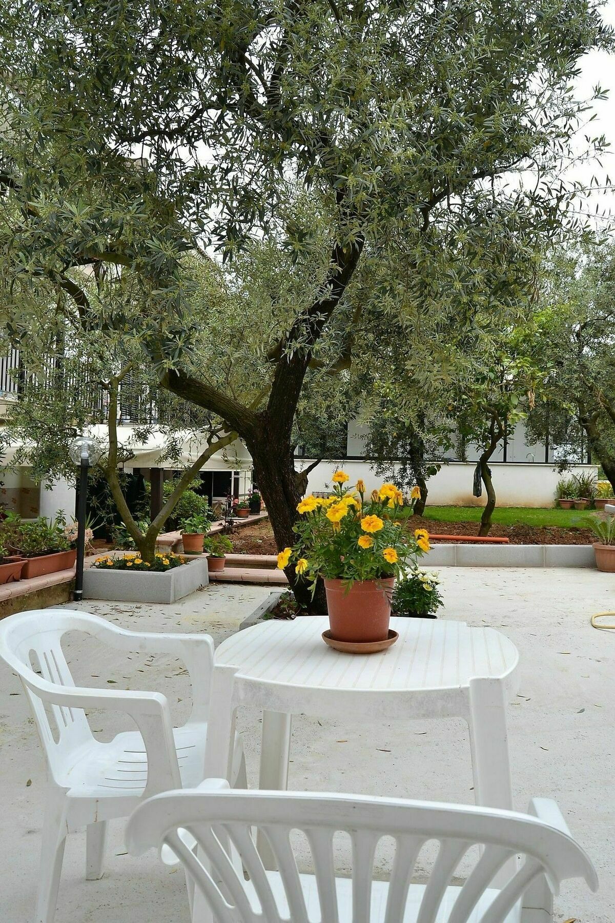 Il Girasole Formia Guesthouse Rooms Екстериор снимка