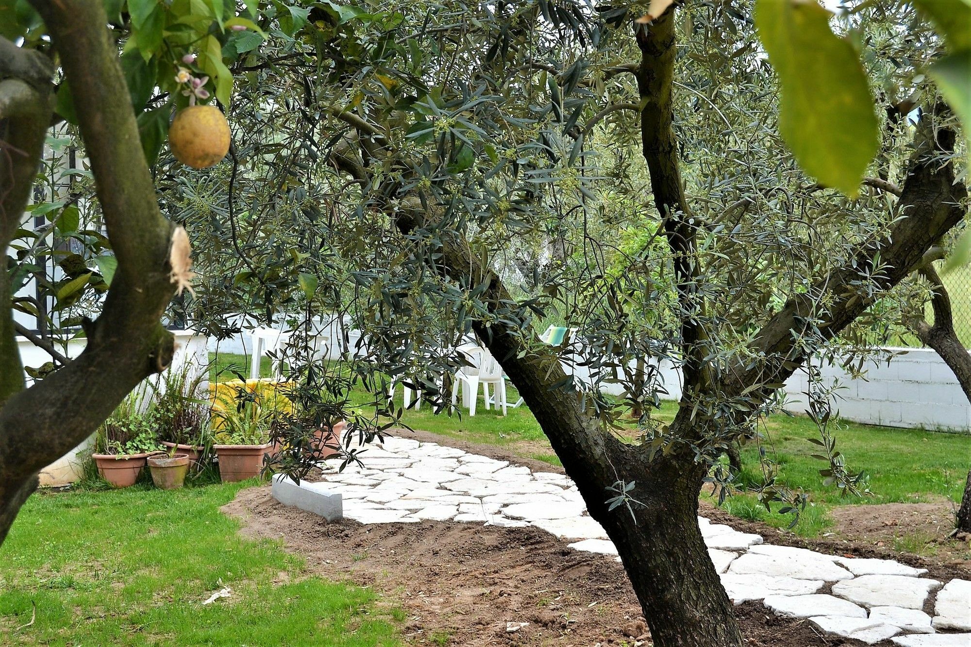 Il Girasole Formia Guesthouse Rooms Екстериор снимка